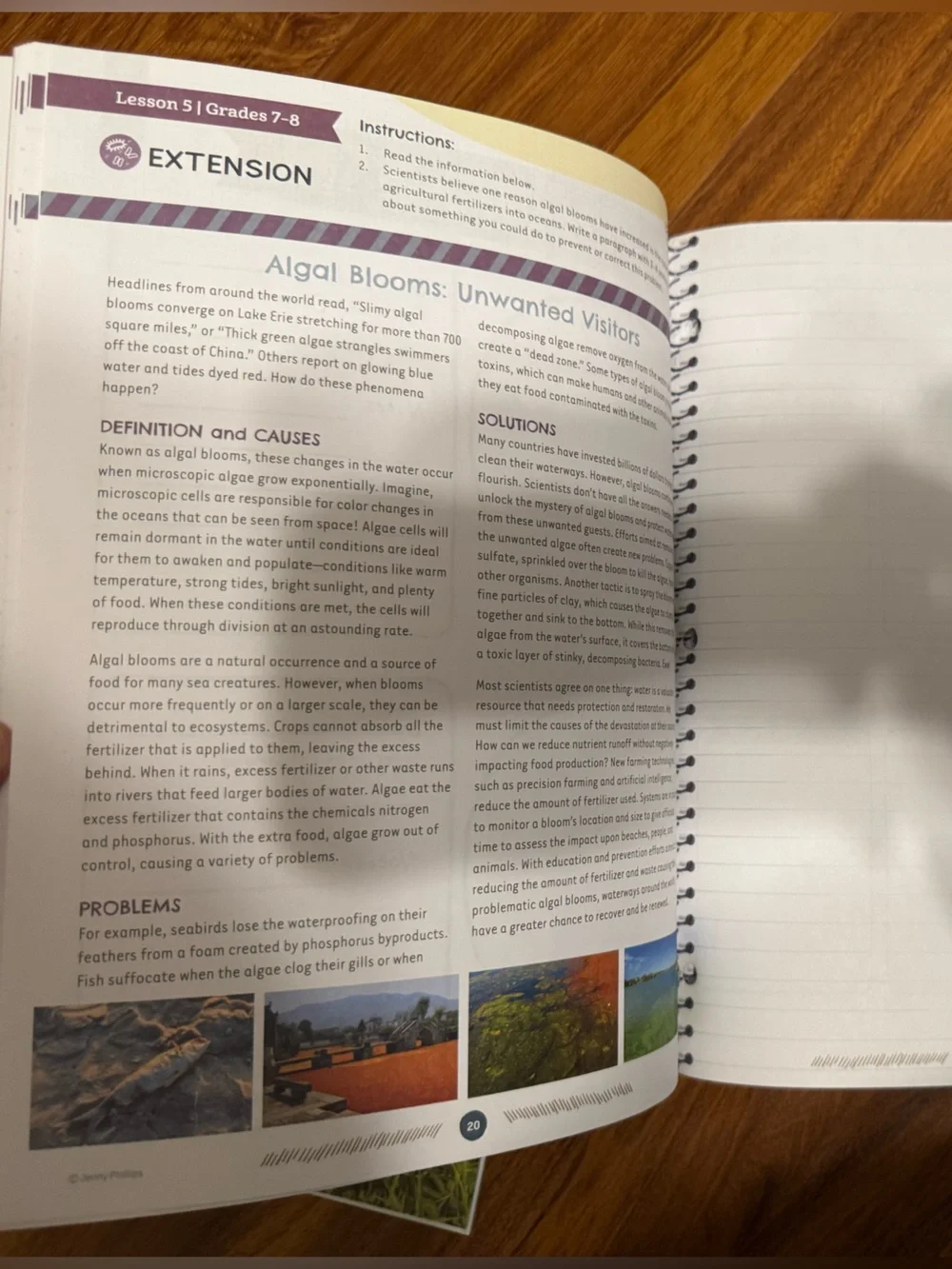 TGAB Kingdoms and Classification Science Unit Study